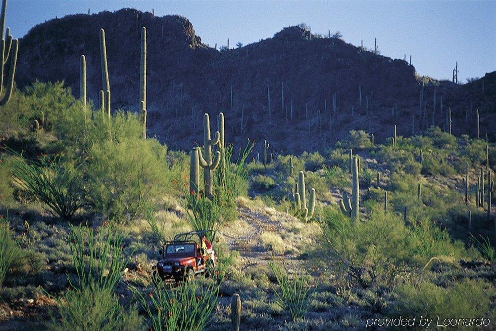 Rancho De Los Caballeros Wickenburg Exterior photo