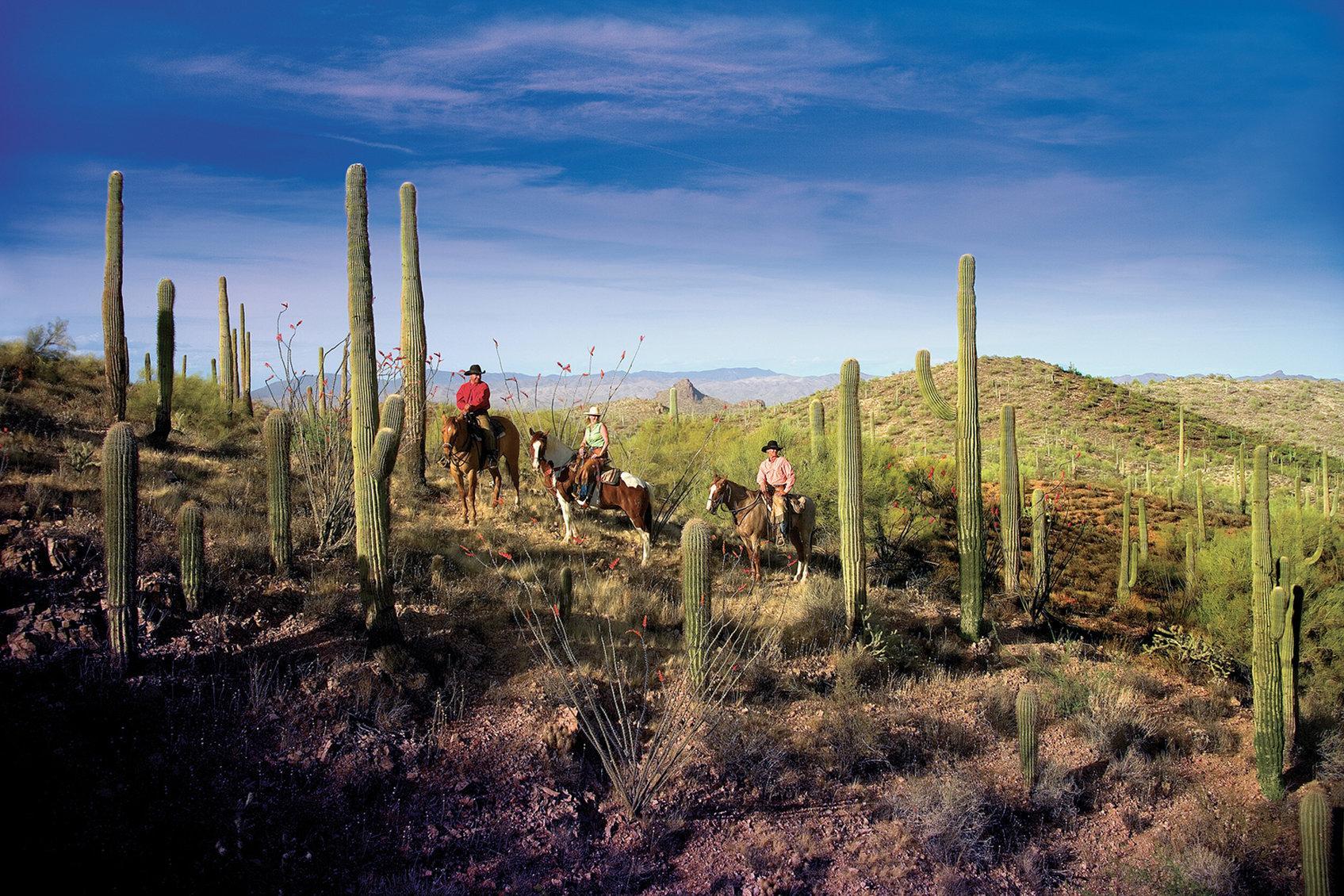 Rancho De Los Caballeros Wickenburg Exterior photo